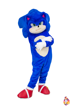 Fast hedgehog Mascot Costume