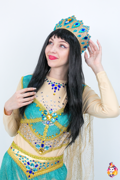 Long Straight Black Wig