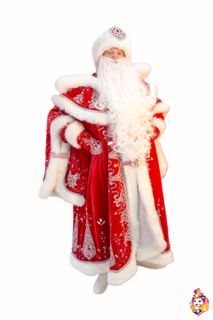 Santa Claus Charm Carnival Costume 