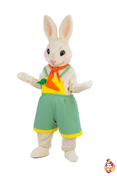 Rabbit Carrot Mascot Costume