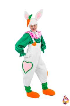 Rabbit Carrot Carnival costume