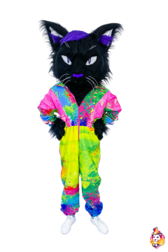 Cat Valentai Mascot Costume