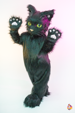 The black Cat Mascot Costume