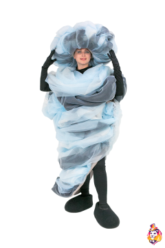Typhoon Carnival сostume