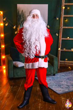 Red Santa carnival costume