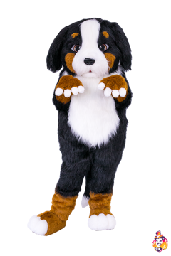 Mountain Dog Mascot Costume