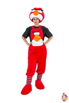 Bird Red Cardinal Carnival сostume