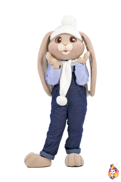 Bunny Shunya Mascot Costume