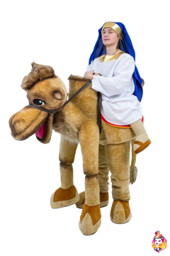 Camel Mascot Costume