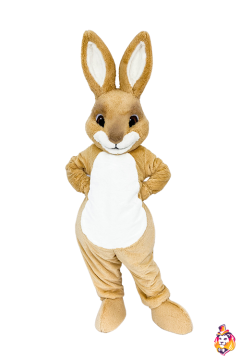 Rabbit Robik Mascot Costume