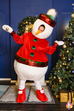 Magic Snowman carnival costume
