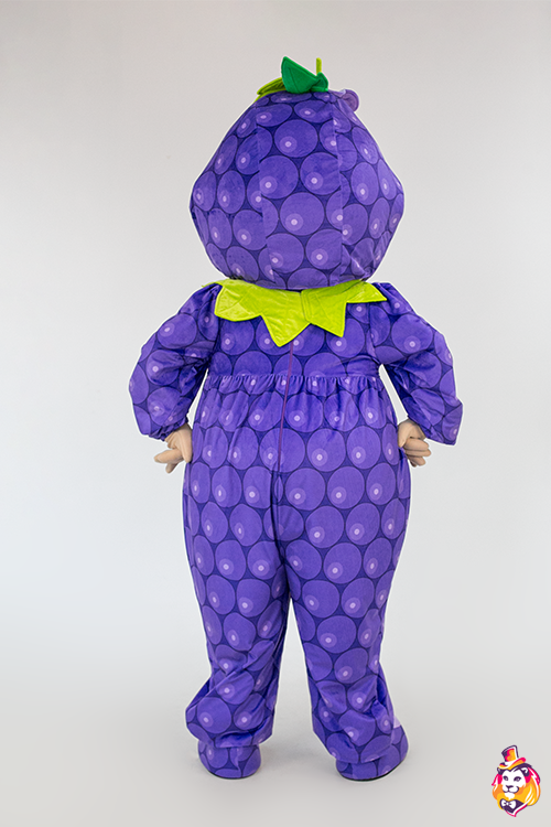 Baby Blueberries Mascot Costume