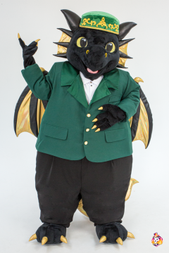 The Wise Dragon Mascot Costume