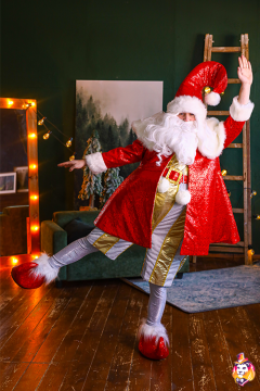 Elf Donut carnival costume