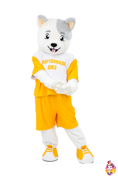 Dog Lucky Mascot Costume