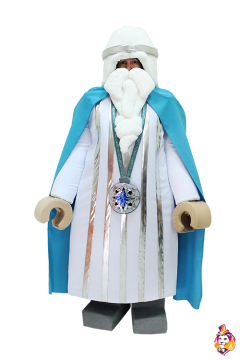 Man Wizard carnival costume