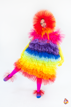 Colorful Fluffy carnival costume