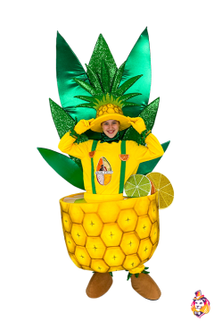 Pineapple carnival costume