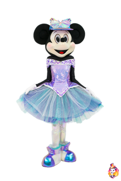 Dress Crystal Costume for Mascot
