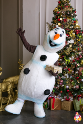 Snow Friend mascot costume