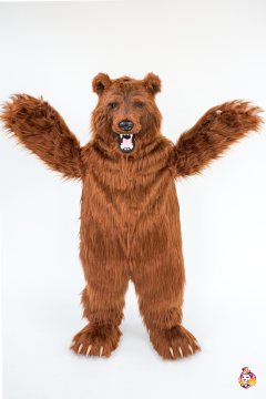 Bear from the Forest Mascot Costume
