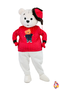 Set Bear Kodi Costume for Mascot