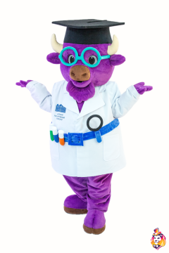 Bison Mascot Costume