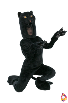 Panther Mascot Costume