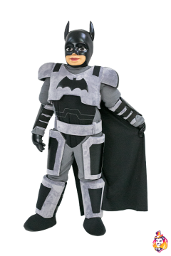 Grey Knight Mascot Costume