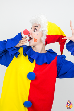 Clown`s wig white