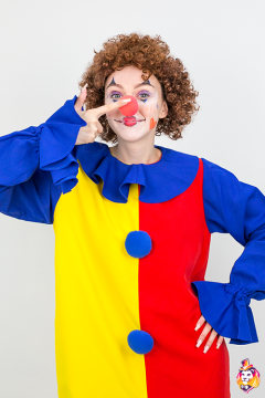 Clown`s wig brown