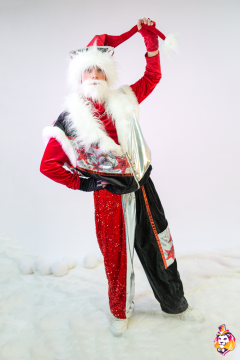 Star Drive Carnival costume