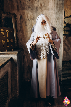 Wizard Faleon Carnival costume