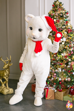 Santa's Helper costume for Mascot