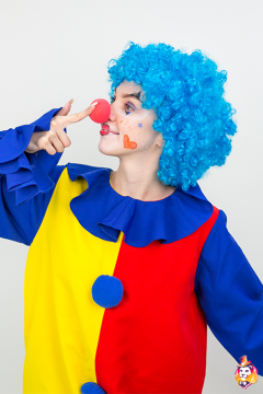 Clown's wig blue
